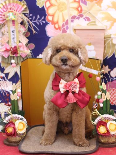 20240131ジョンくん